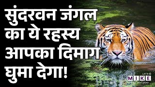 MYSTERIOUS SUNDARBAN | रहस्यों से भरा सुंदरवन | Largest Mangrove Forest In The World | West Bengal