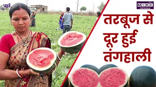 Hazaribagh Watermelon Farming: 800 महिलाओं की सफलता की अनकही कहानी | DC Nancy Sahay | Lets Mike