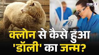 Clone से कैसे हुआ 'डॉली' का जन्म, क्या क्लोनिंग है और कैसे की जाती है? | Dolly Sheep Clone | Miracle