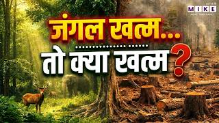 International Day of Forests: क्यों मनाते हैं विश्व वानिकी दिवस | Forest Day 2026 | Latest News