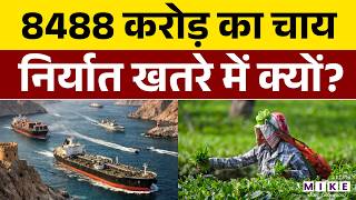 Strait of Hormuz Crisis : 8488 करोड़ का चाय निर्यात दांव पर | Major Impact on Indian Tea Exports