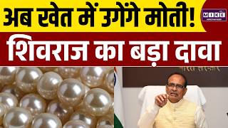 अब खेत में उगेंगे मोती! Shivraj Singh Chouhan का बड़ा दावा | Pearl Farming | Latest News