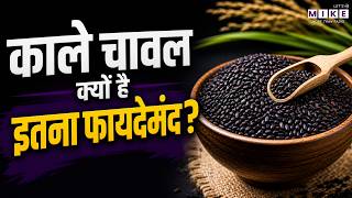 Why Eat Black Rice : सफेद नहीं, काले चावल क्यों खाएं? 5 बड़े कारण | Black Rice Health Benefits