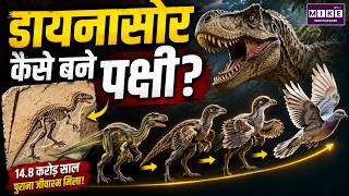 डायनासोर कैसे बने पक्षी? | Dinosaur to Bird Evolution | Evolution Explained | Science Facts Hindi
