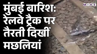 मुंबई बारिश में रेलवे ट्रैक पर तैरती मछलियां | Mumbai Rain Viral Video | Heavy Rain News