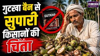 गुटखा बैन से सुपारी किसानों की चिंता | Karnataka Gutkha Ban | Areca Nut Farmers