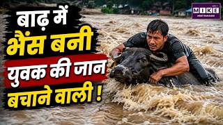 नेपाल बाढ़ में भैंस बनी मसीहा! | Viral Flood Rescue Video | Nepal Flood News