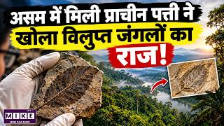 असम की कोयला खदान में मिली प्राचीन पत्ती | विलुप्त जंगलों का रहस्य | Ancient Leaf Assam