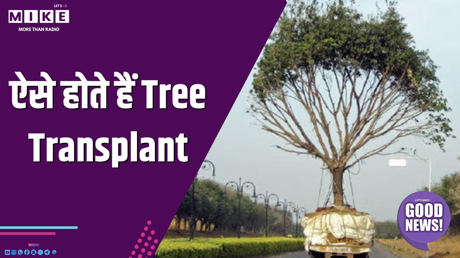 Good News  ऐसे होते हैं Tree Transplant