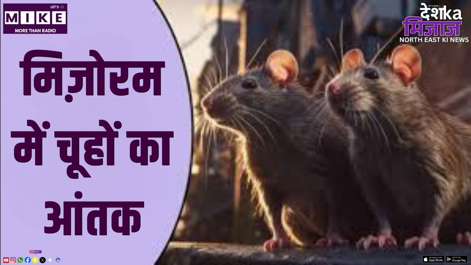 मिज़ोरम में चूहों का आंतक | Desh Ka Mizaj Northeast