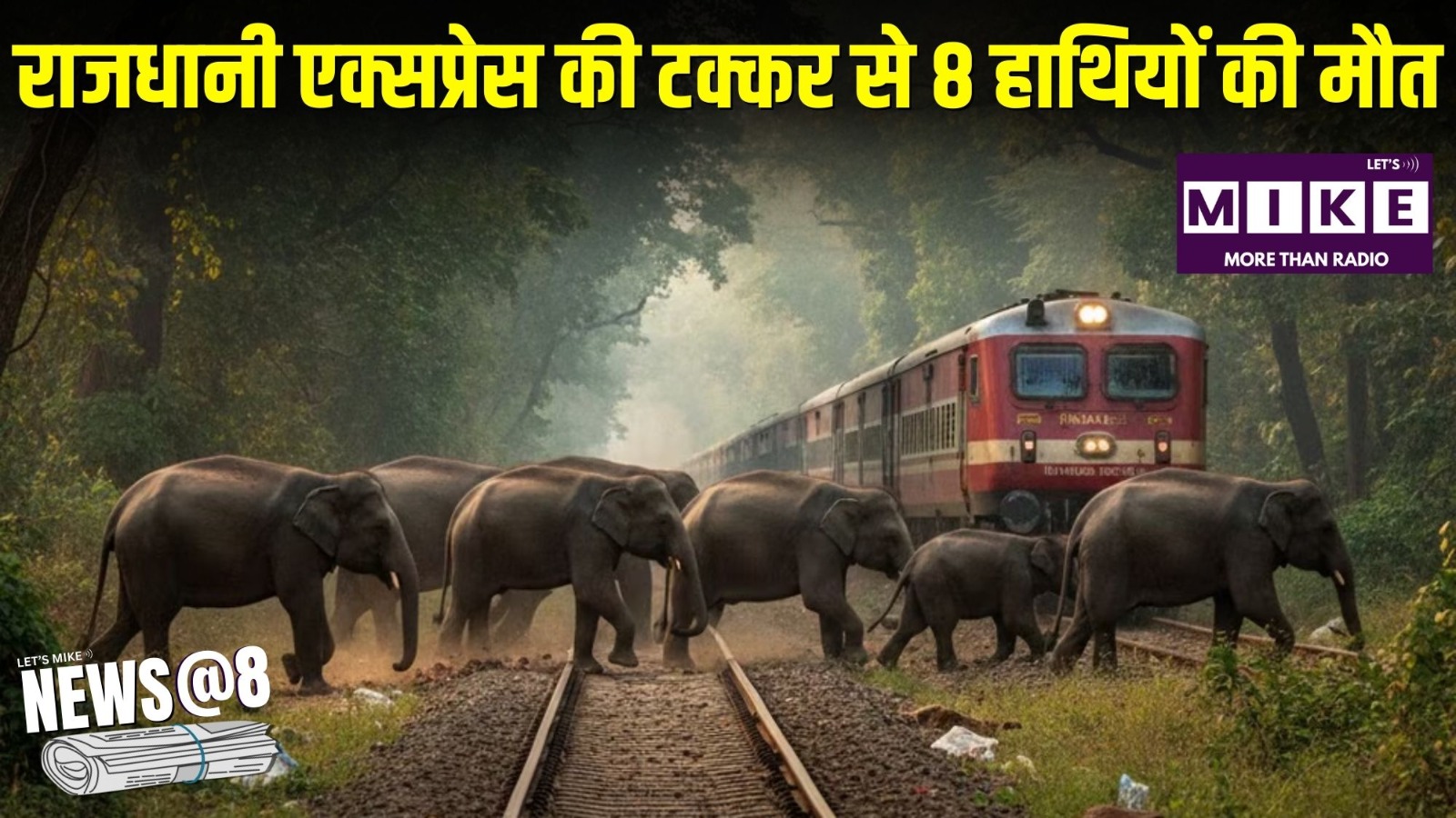 राजधानी एक्सप्रेस की टक्कर से 8 हाथियों की मौत | News @ 8