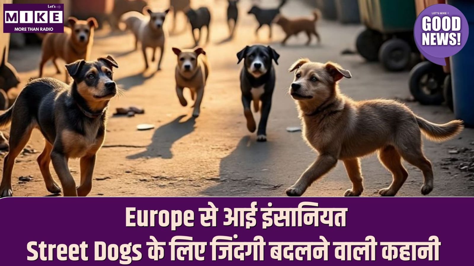 Europe से आई इंसानियत: Street Dogs के लिए जिंदगी बदलने वाली कहानी