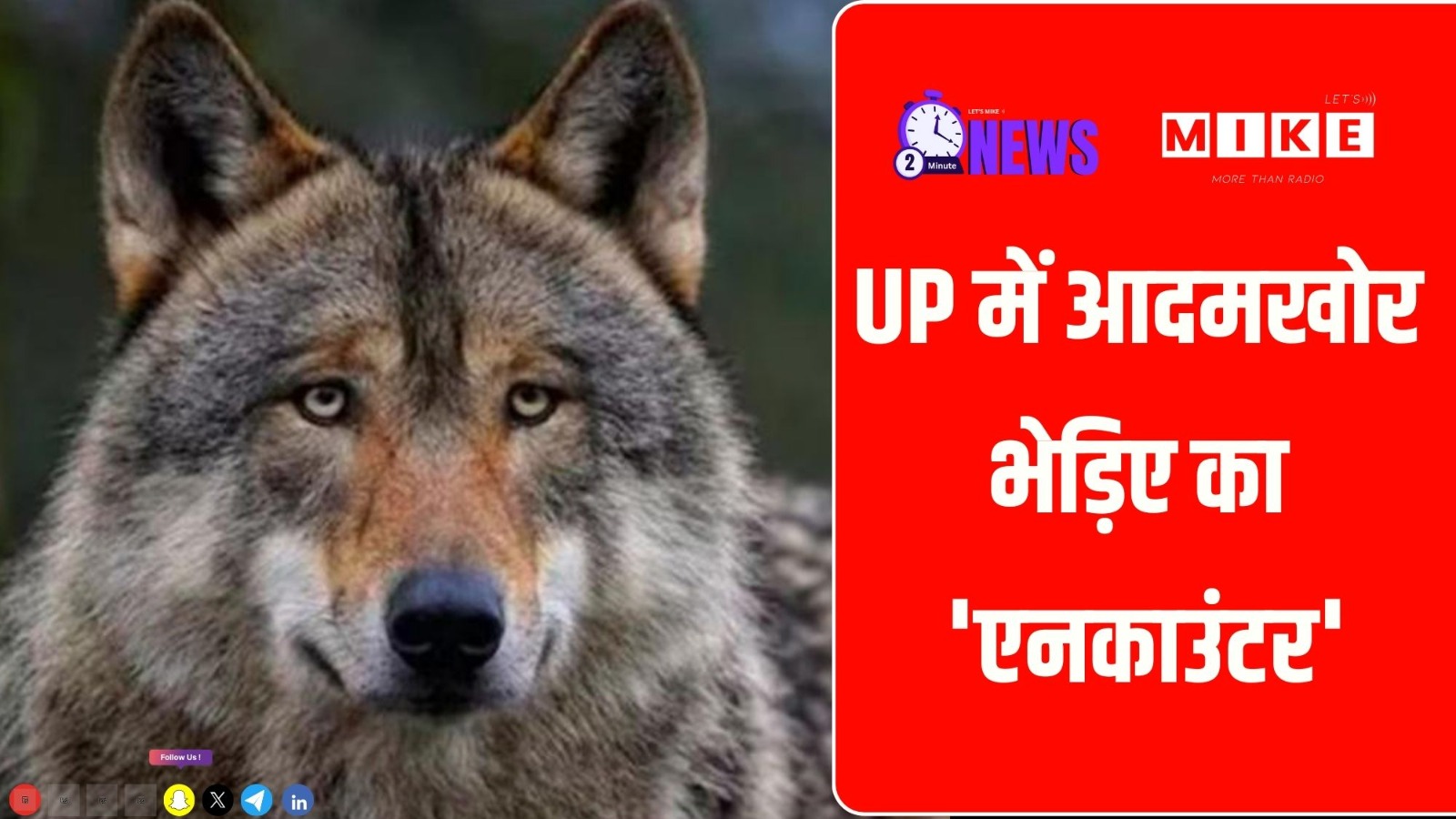 UP में आदमखोर भेड़िया का एनकाउंटर | Bahraich Wolf Attack