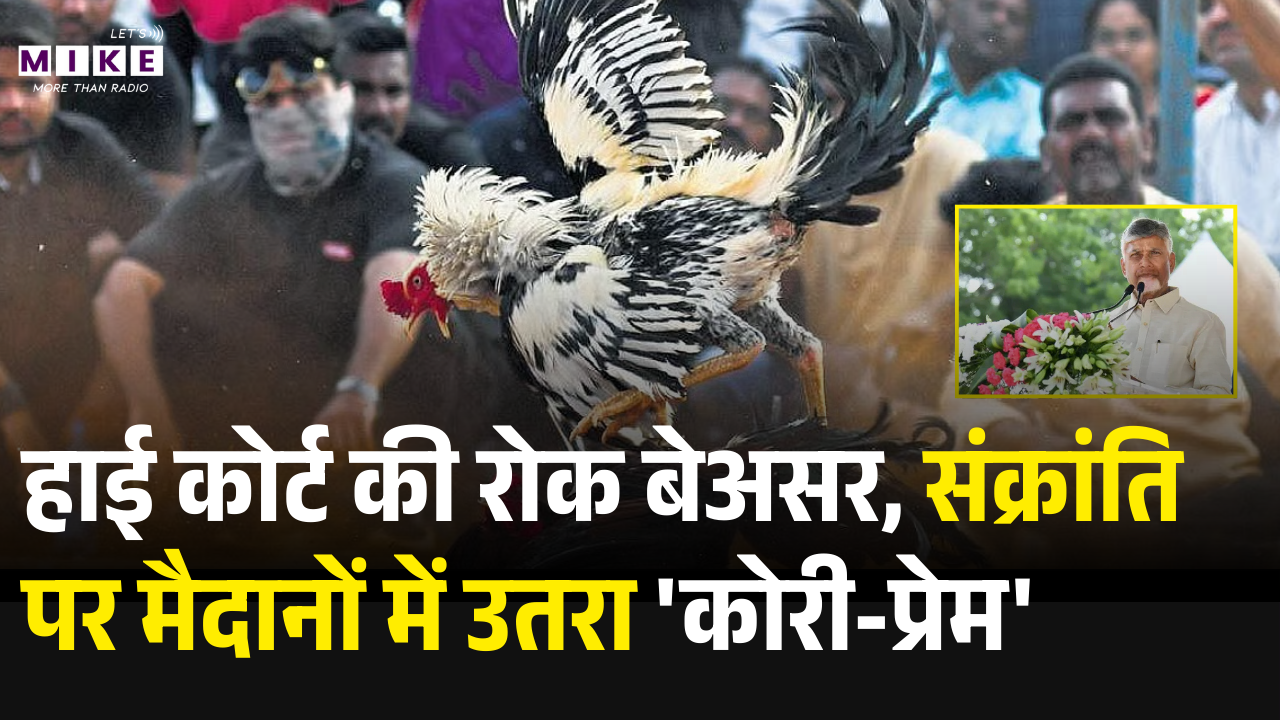 Cockfights in Andhra Pradesh: हाई कोर्ट की रोक बेअसर, संक्रांति पर मैदानों में उतरा 'कोरी-प्रेम'