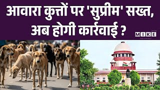 आवारा कुत्तों पर 'सुप्रीम' सख्त, अब होगी कार्रवाई ? | Suprem Court | Latest News