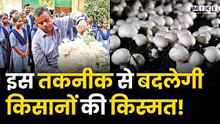 Mushroom Farming | इस तकनीक से बदलेगी किसानों की किस्मत! | Good News | Agriculture