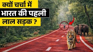 Why India Painted Its Highway Red? | India’s First Wildlife-Friendly Highway