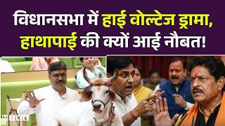 Rajasthan Assembly News : विधानसभा में हाई वोल्टेज ड्रामा, हाथापाई की क्यों आई नौबत! Rajasthan News