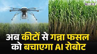 अब कीटों से गन्ना फसल को बचाएगा AI रोबो | AI helps farmers in India enhance efficiency