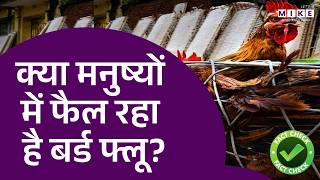 क्या मनुष्यों में फैल रहा है बर्ड फ्लू? | Bird Flu Update | Fact Check | Latest News