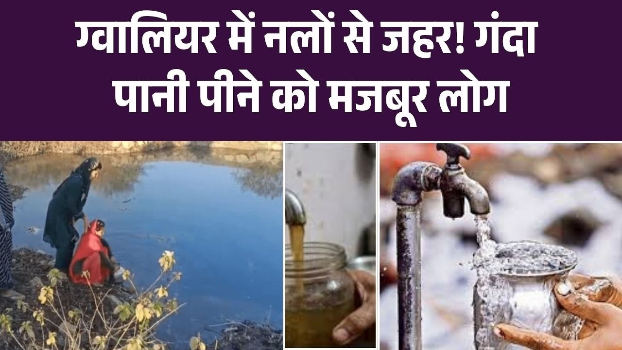 ग्वालियर में नलों से जहर! गंदा पानी पीने को मजबूर लोग | Water System in Gwalior Collapsing? | Top
