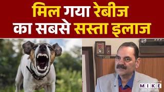 Dogs के काटने से होने वाले Rabies का India में अब सस्ता इलाज! बचेंगी जानें