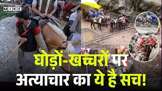 घोड़ों-खच्चरों पर अत्याचार का सच! Gauri Maulekhhi की जंग ने खोली पोल | Animal Cruelty Exposed