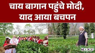 PM Modi in Assam Tea Garden: चाय बागान पहुंचे मोदी, याद आया बचपन | Latest News
