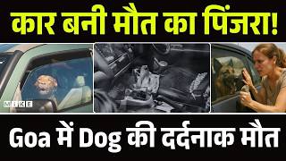 Goa Dog Death: 4 घंटे कार में बंद रहा कुत्ता, दम घुटने से मौत | Owner Casino | Viral Video