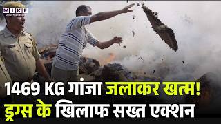 1469 KG गांजा जलाकर खत्म! ड्रग्स के खिलाफ सख्त एक्शन | Cannabis cultivation | Latest News