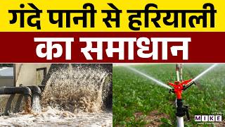 Grey Water Recycling Solution: गंदे पानी से हरियाली का समाधान | Water Conservation & Gardening
