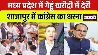 MP में गेहूं खरीदी में देरी, शाजापुर में कांग्रेस का धरना | Jitu Patwari | Shivraj Singh Chouhan
