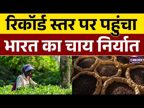 भारत से चाय निर्यात ने बनाया नया रिकॉर्ड | India Tea Export | Indian Tea Global Demand