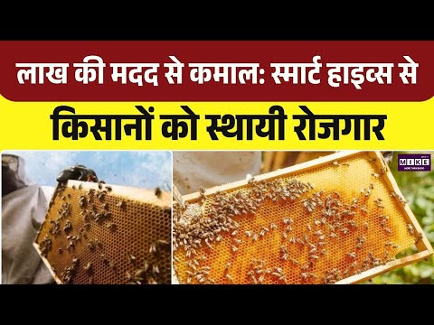 Tamil Nadu News: लाख की मदद से कमाल: स्मार्ट हाइव्स से किसानों को स्थायी रोजगार | Rohit N | Top