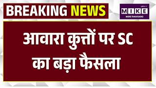 Supreme Court Verdict on Stray Dogs: आवारा कुत्तों पर याचिकाएं खारिज, राज्य सरकारों को निर्देश