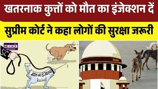 Supreme Court : खतरनाक कुत्तों को मौत का इंजेक्शन दें, सुप्रीम कोर्ट ने कहा लोगों की सुरक्षा जरूरी