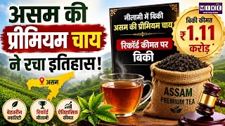 असम की प्रीमियम चाय ने रचा इतिहास, रिकॉर्ड कीमत पर बिकी | Assam Premium Tea Auction News