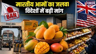 Indian Mango Export: जापान-नेपाल की रोक के बीच अमेरिका-ब्रिटेन में भारतीय आमों की जबरदस्त मांग | Top