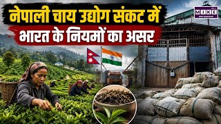Nepal Tea Export Crisis: भारतीय नियमों से नेपाल चाय इंडस्ट्री पर संकट,15 जून से बंद होंगे कई कारखाने