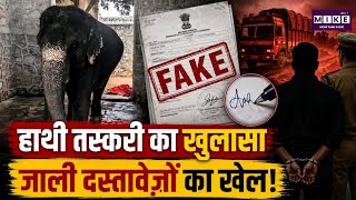 Assam Wildlife Crime Alert: मोहन हाथी की अवैध तस्करी का खुलासा! फर्जी दस्तावेजों से राजस्थान पहुंचा