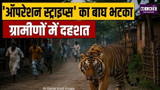 Andhra Pradesh Operation Stripes: 'ऑपरेशन स्ट्राइप्स' का बाघ फिर भटका, गांव के पास गायों का शिकार