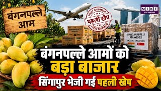 Singapore Mango Export: आंध्र प्रदेश से सिंगापुर पहुंची बंगनपल्ले आमों की पहली समुद्री खेप ।