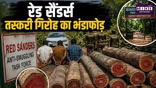Andhra Pradesh News: आंध्र प्रदेश में रेड सैंडर्स तस्करी का भंडाफोड़, 2 करोड़ की लकड़ी जब्त ।