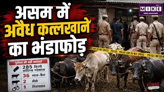 Assam Police Raid: असम के नगांव में अवैध कत्लखाने का भंडाफोड़, 285 किलो संदिग्ध गोमांस जब्त