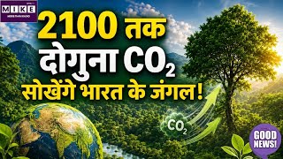 2100 तक भारत की हरियाली बढ़ाएगी कार्बन सोखने की क्षमता, वैज्ञानिकों ने जताई उम्मीद