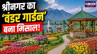 श्रीनगर का ‘वंडर गार्डन’ बना मिसाल | Srinagar Wonder Garden | Kashmir News