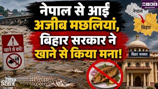 बिहार में बाढ़ के पानी के साथ आईं अजीब मछलियां, सरकार ने लोगों को खाने से किया मना